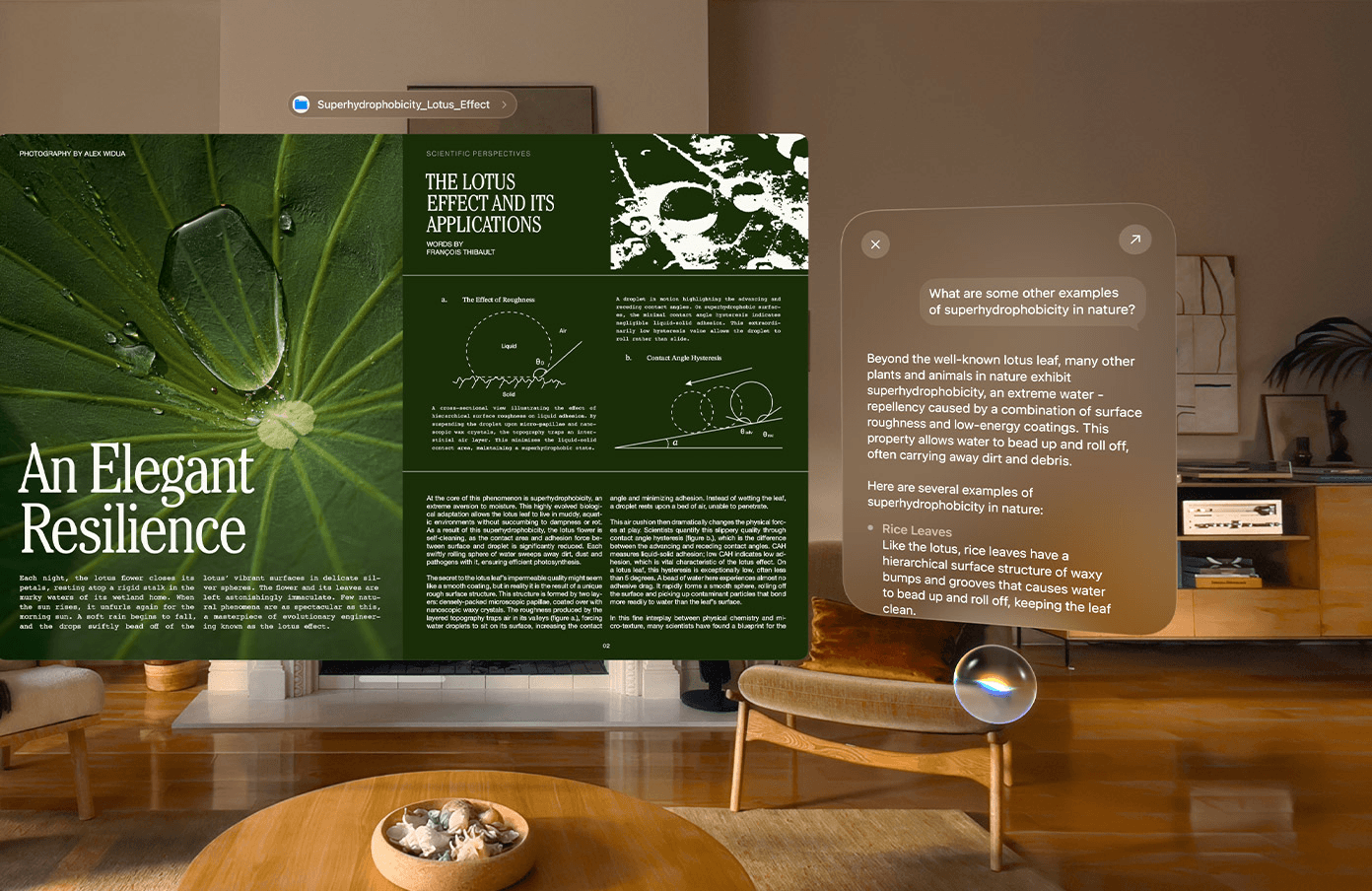 visionOS 27: The MacStories Overview