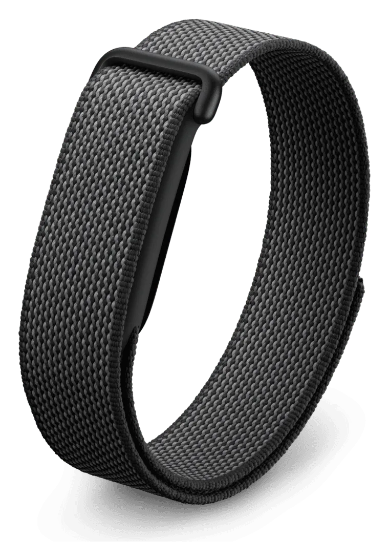 Google Fitbit Air